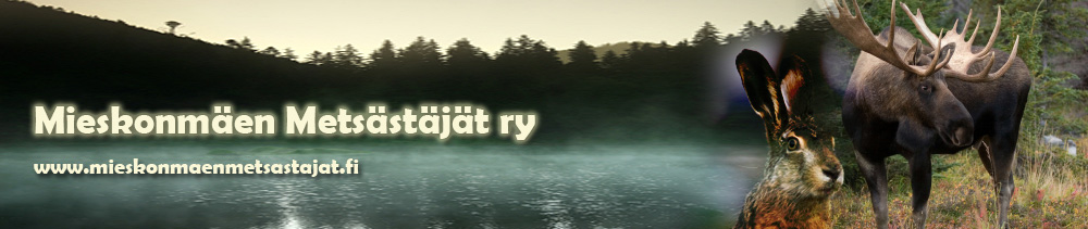 rhy.fi